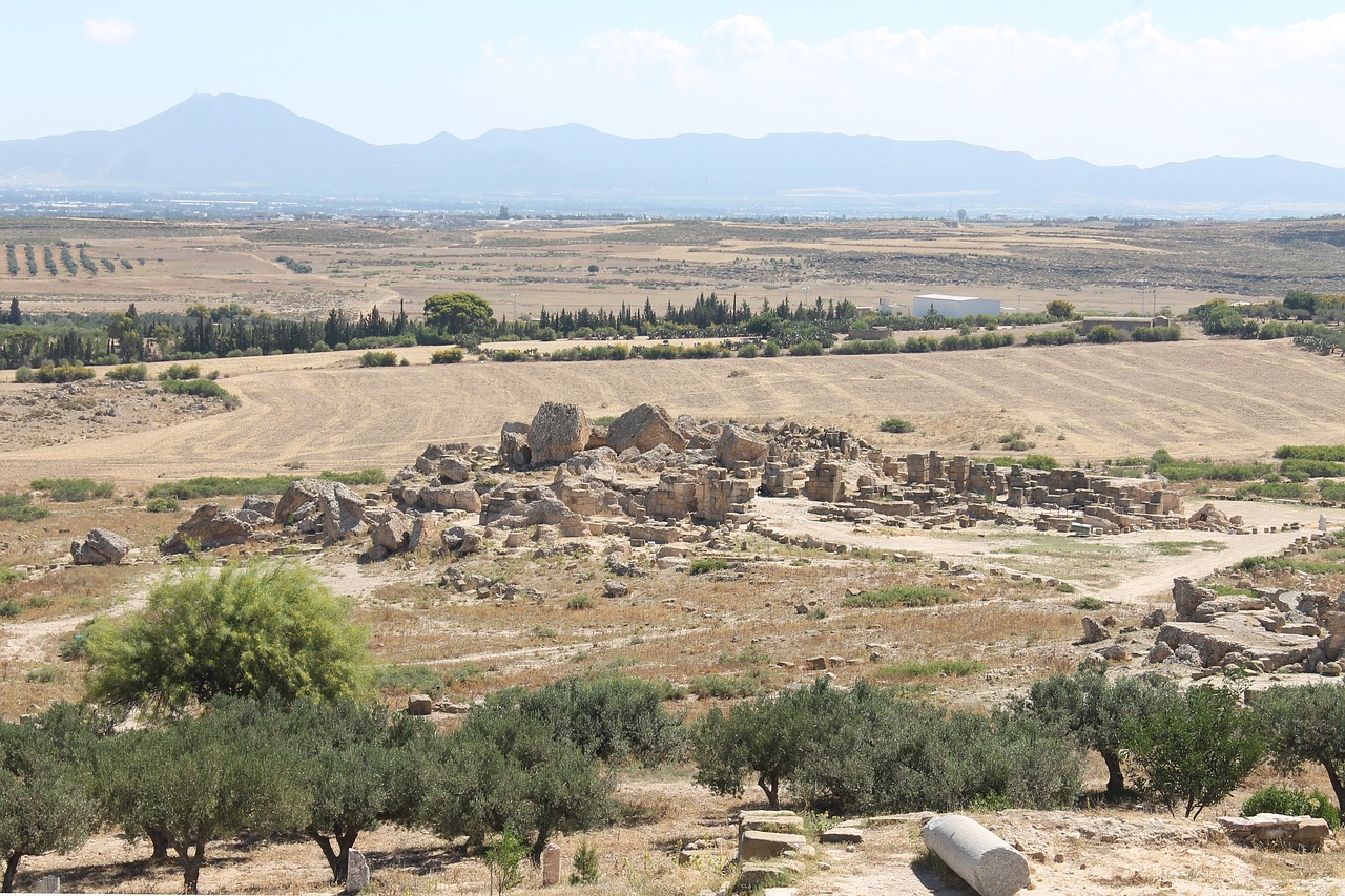 The Cultural Influence of the Samudragupta Empire